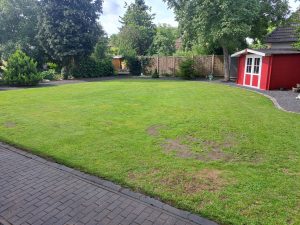 Gartenpflege