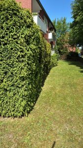 Heckenschnitt Gartenpflege